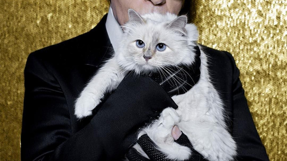 Котката на Лагерфелд може да го наследи | StandartNews.com