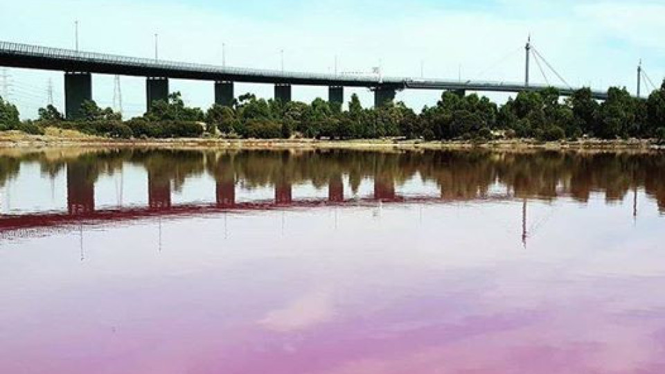 Розово езеро е новата забележителност на Мелбърн | StandartNews.com