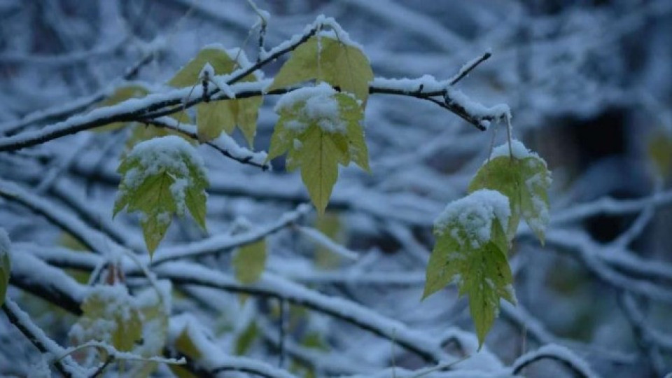 Жълт код за студ и дъжд утре | StandartNews.com