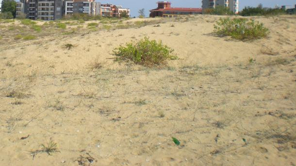Само отчуждаването на частни имоти с дюни  можело да ги спаси | StandartNews.com