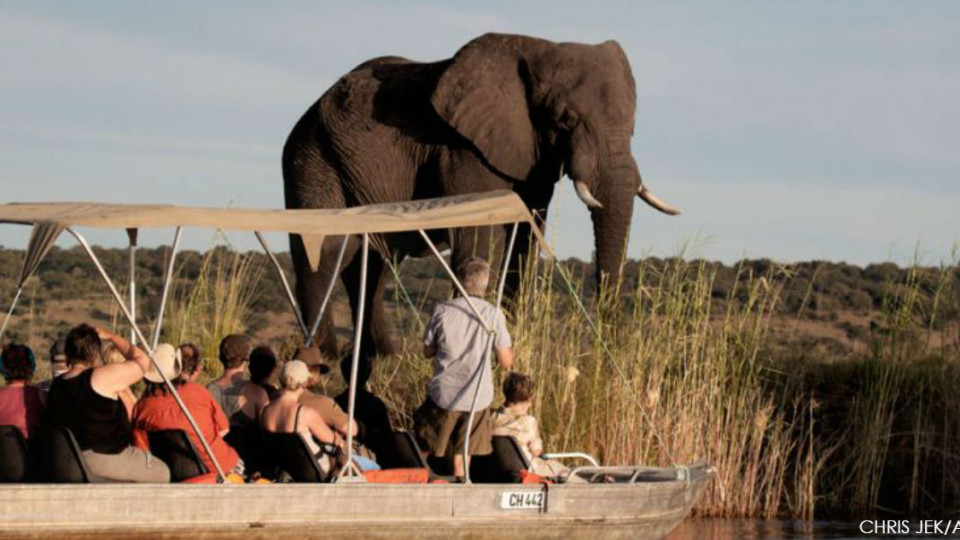 Ботсвана легализира лова на диви животни | StandartNews.com
