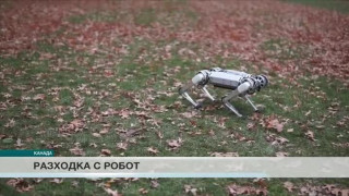 Робот-гепард впечатли технологичния свят