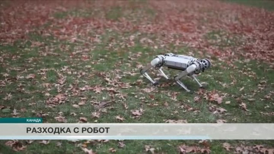 Робот-гепард впечатли технологичния свят | StandartNews.com