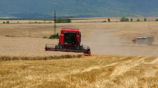 Ниски добиви очакват зърнопроизводители в Старозагорско