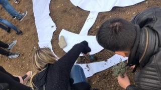 Цветен биберон поздрави майки и бебета с Първа пролет