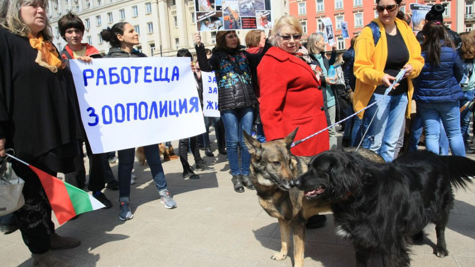 В София протестираха срещу насилието над животни | StandartNews.com