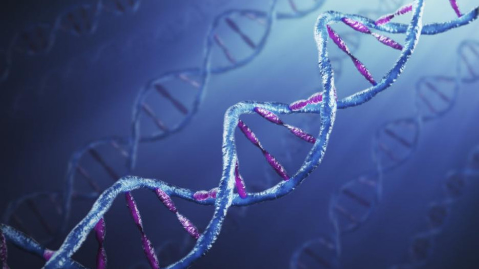 Ще лекуват нелечими  болести с редакция в ДНК | StandartNews.com