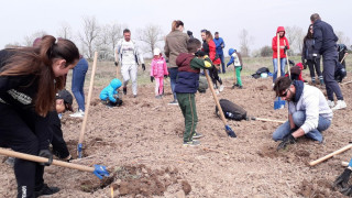 Стартира засаждането на Новата гора на столицата