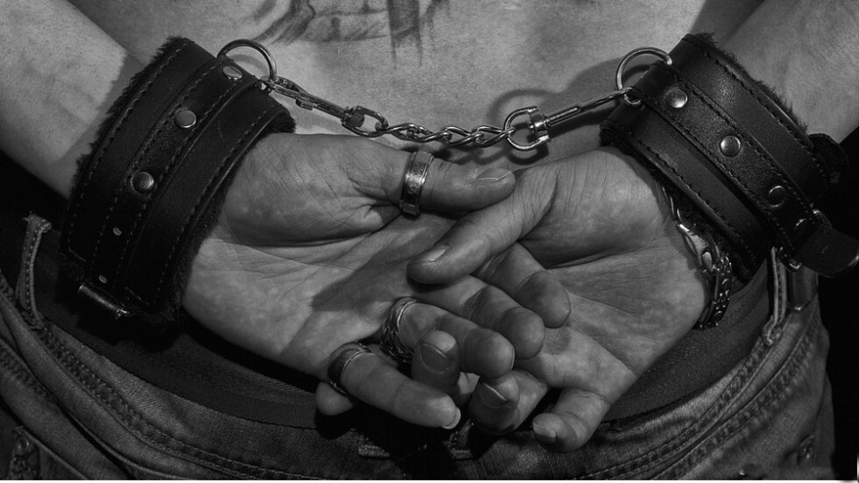 Арестуваха стопаните на нападащите ротвайлери | StandartNews.com