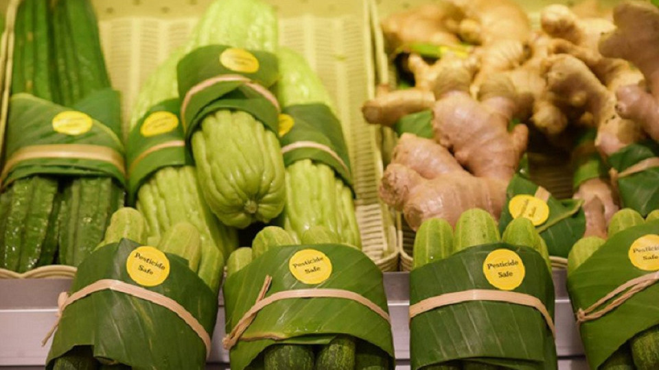 Опаковки от бананови листа в Азия вместо пластмасови | StandartNews.com