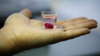 „Печатат“ сърце на 3D принтер в Израел