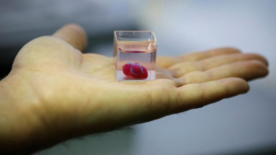 „Печатат“ сърце на 3D принтер в Израел | StandartNews.com