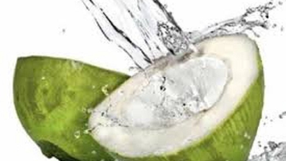 Полезните свойства на кокосовата вода | StandartNews.com