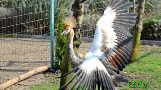 Бургаският зоопарк отвори врати