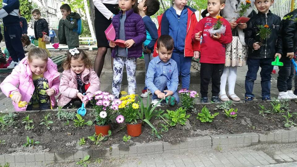 Деца, учители и родители обособиха цветни алеи в двора на ДГ №10 | StandartNews.com