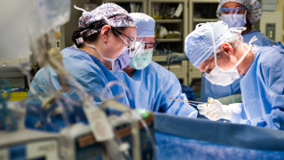 Учат наши лекари във Виена на трансплантации