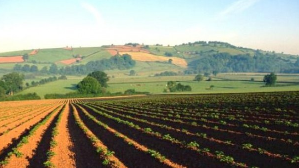 Разпределят 9 млрд. лева за фермерите до 2027 г. | StandartNews.com