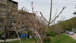 Десетки облагородени пространства в Благоевград
