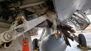 Птица се удари в F-35B, нанесе щети за милиони