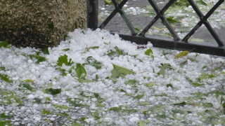 Значителни щети след градушка в свищовско