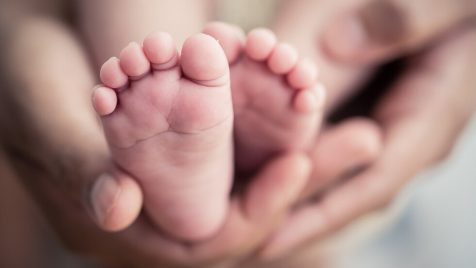 Полякиня роди шест близначета | StandartNews.com