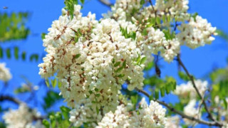 Слънце през облаци днес