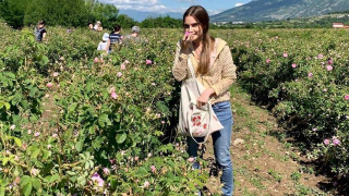 Млади синдикалисти с мисия за роза Дамасцена