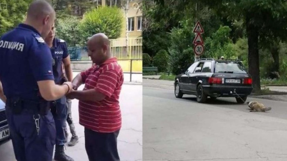 Садист влачи куче с кола в Пазарджик | StandartNews.com