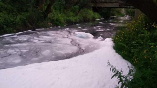 Бяла пяна тече по река Струма в Перник