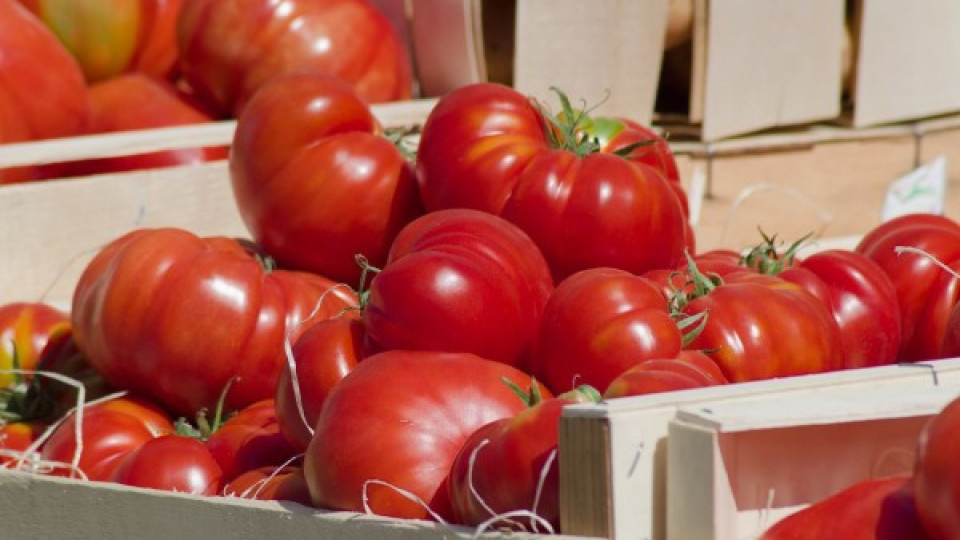 Продават ни по 3 лв. домати от Гърция за 0,05 евро | StandartNews.com