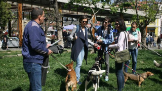 Пак показват кучета за осиновяване в София