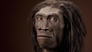 Откриха останки на най-древния човек – Хомо еректус
