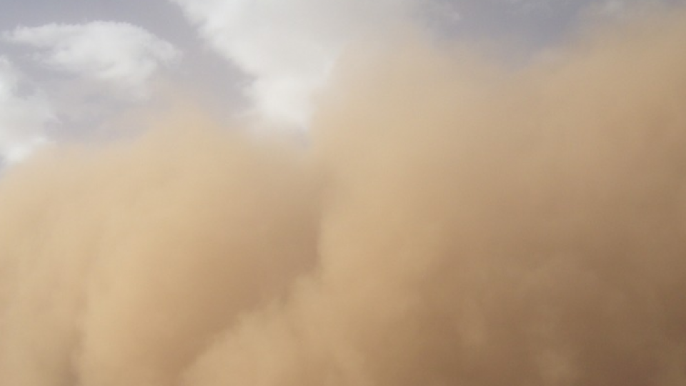 Гълъбово потъна в прах | StandartNews.com