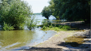 Започва пръскането срещу комари край Дунав