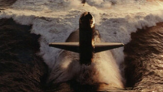 Тюлени спипаха подводница с кокаин