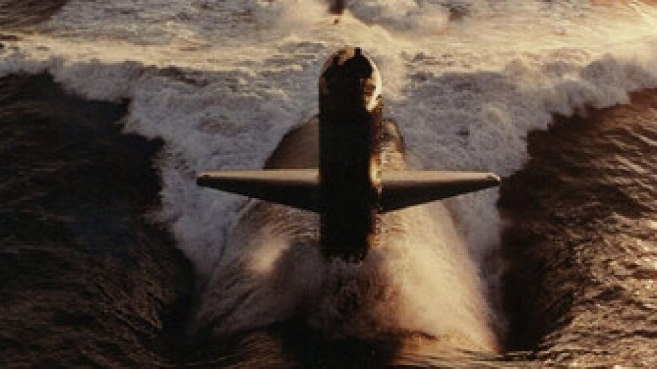 Тюлени спипаха подводница с кокаин | StandartNews.com