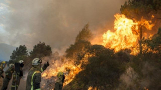 Голям пожар застрашава къщи и хора в Мегара, Гърция
