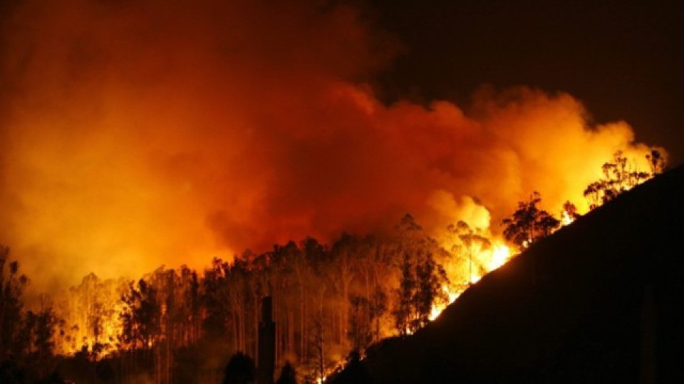 Опасността от пожари е голяма | StandartNews.com