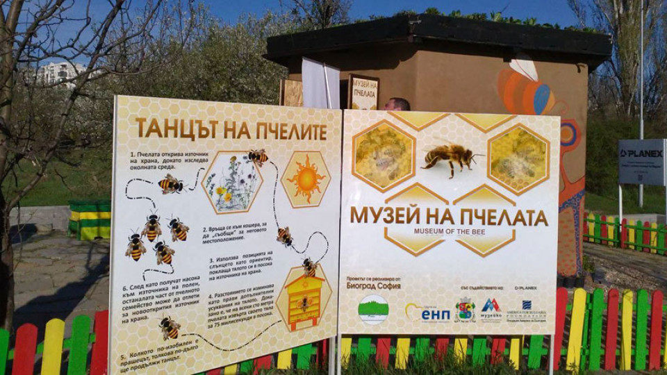 Музей на пчелата в София | StandartNews.com