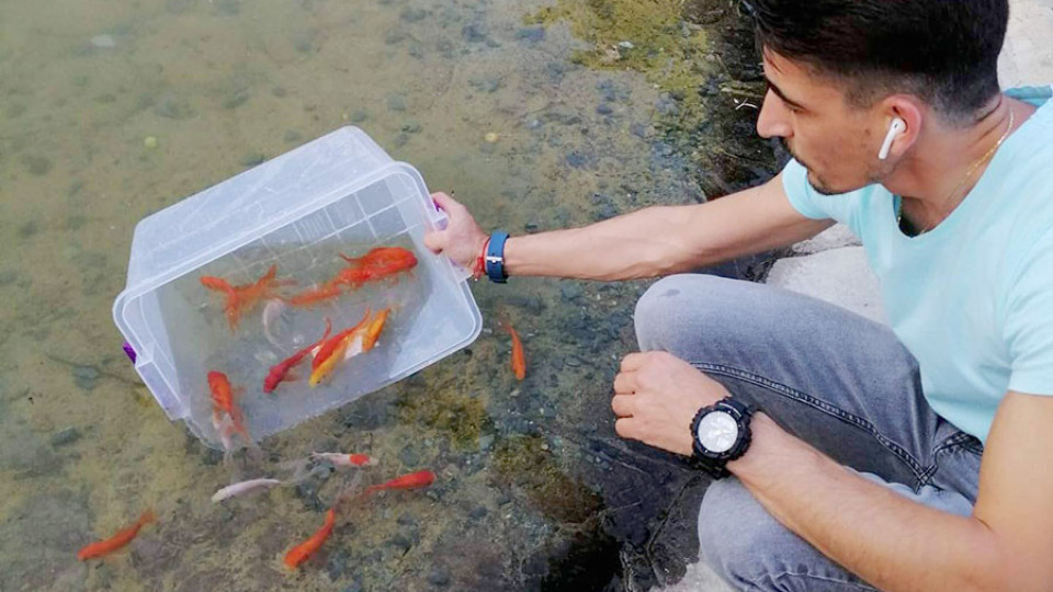 Златни рибки радват децата в старозагорски парк | StandartNews.com
