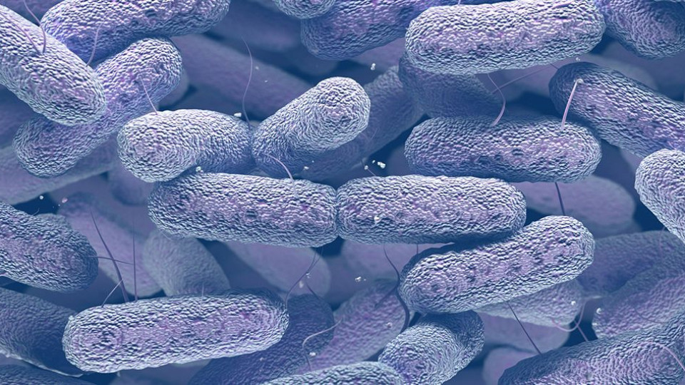 Супербактерии атакуват болници в Европа | StandartNews.com