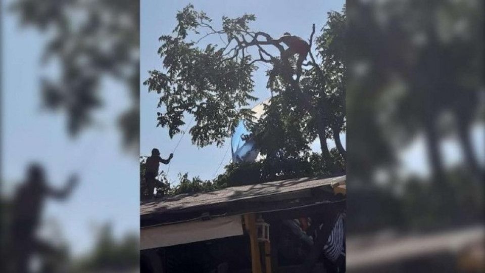Парашут с две момичета рухна върху дърво | StandartNews.com