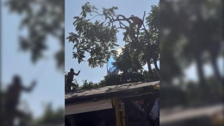 Две момичета се приземиха с парашут върху дърво