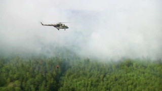 Пожарът в Сибир обхвана над 1 млн. декара гора
