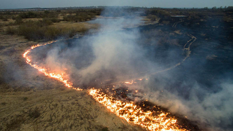 Ад във жегата! 1,5 млн. хектара горят в Сибир | StandartNews.com