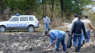 Трупове на прасета хвърлени в дере