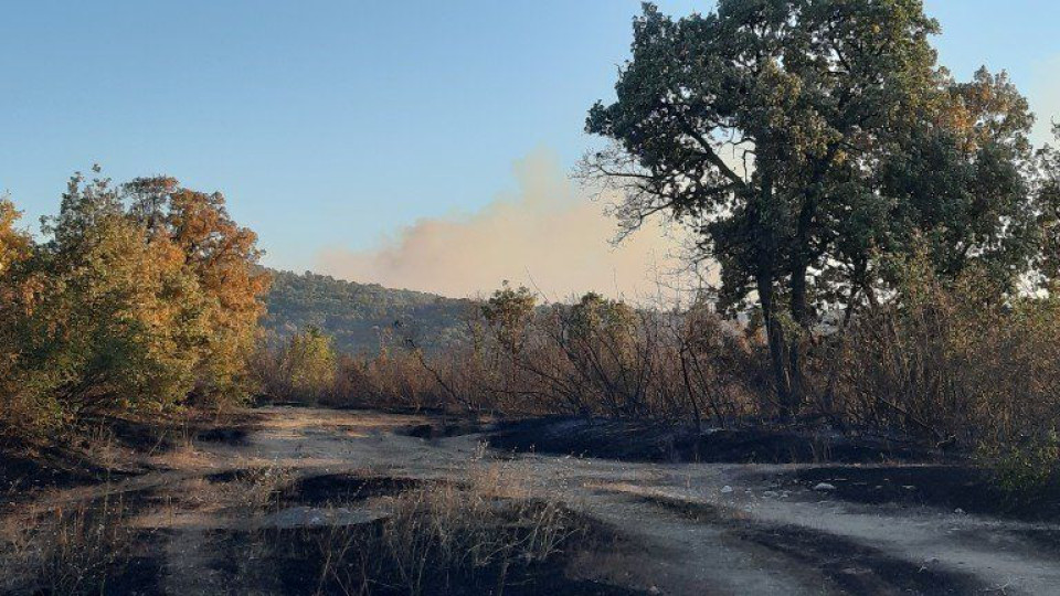 Овладян е пожарът край Хасково | StandartNews.com