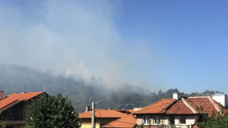 Изгасиха пожара край Дупница
