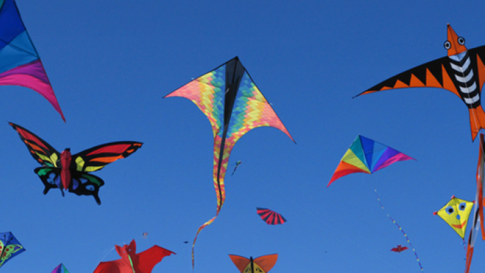 Варна се любува на Фестивала на хвърчилата | StandartNews.com