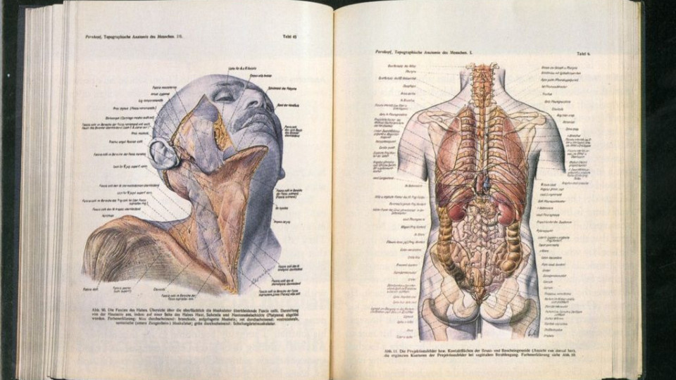 Нацисти създали най-добрия атлас по анатомия | StandartNews.com
